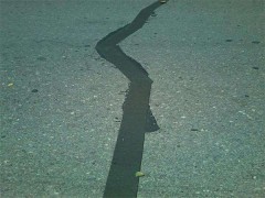 石台抗裂贴，抗裂贴厂家直销，低价供应，规格齐全图3