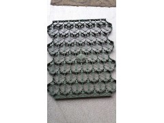 植草格 塑料植草格 植草格报价 优质供应商图1