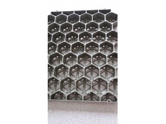 植草格 塑料植草格 植草格报价 优质供应商图2