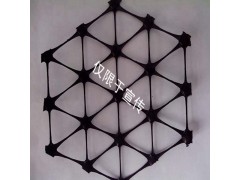 三向土工格栅选路源  高品质 价格实惠图2