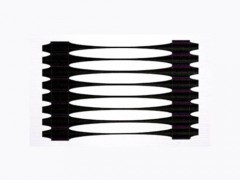 单向拉伸土工格栅图1