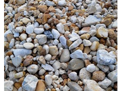 甘肃省庆阳市砂、碎石招标图1