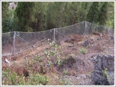 SNS被动防护网图1