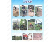 出售优质汽油动力10米便携冲击钻机BZ-1轻便触探机品质保证图2