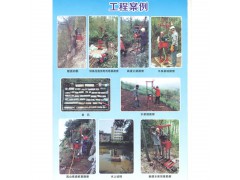 轻便25米取样汽油钻机，QZ-2B小型钻井机，地质勘察钻机图2