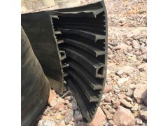 天然橡胶止水带 背贴（外贴）式止水带 塑料止水带—衡水天林图3