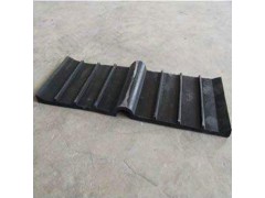 专业生产可卸式橡胶止水带 可拆卸式止水带 规格齐全—衡水天林图1