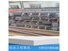 公路桥梁伸缩缝E80模数梳齿毛勒橡胶胶条桥梁伸缩装置图2