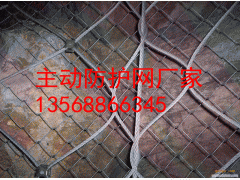 四川主动防护网图1