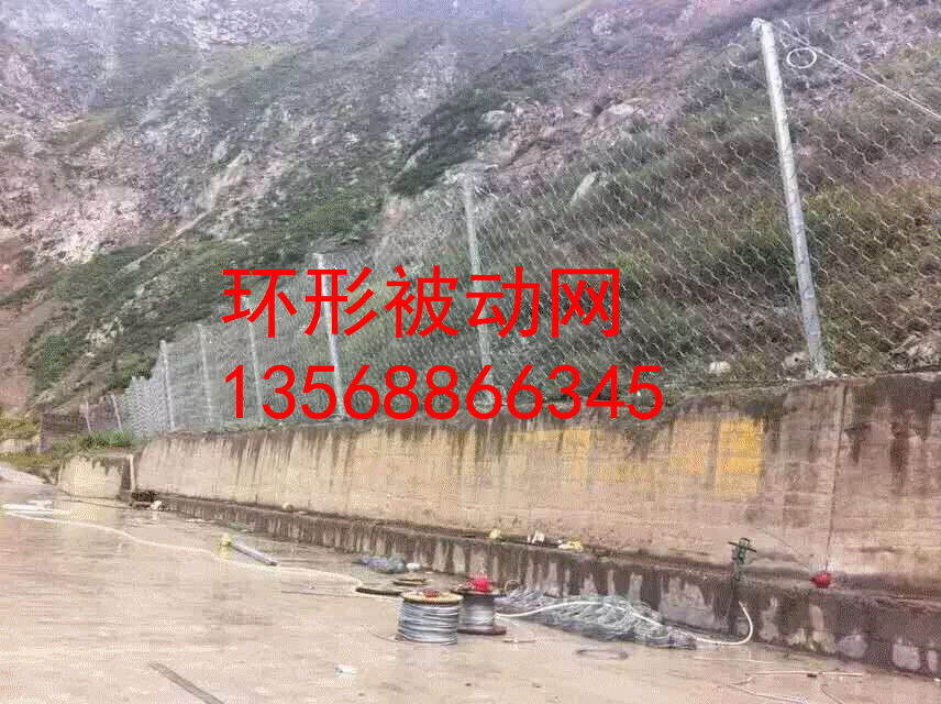 525314279888965117_副本