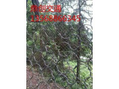 被动网/被动防护网/SNS被动防护网图2