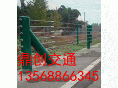 被动网/被动防护网/SNS被动防护网图3