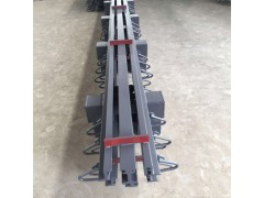 平面型抗震桥梁伸缩缝 变形缝装置 模数式伸缩缝—衡水天林图1