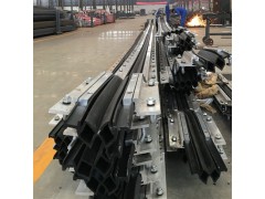 平面型抗震桥梁伸缩缝 变形缝装置 模数式伸缩缝—衡水天林图3