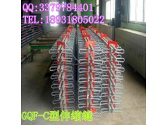 天林供应GQF-C型桥梁伸缩缝 D80型伸缩缝 单组式伸缩缝图3