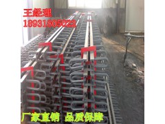 专业生产模数式桥梁伸缩缝 GQF-F型伸缩缝 单组式伸缩缝图1