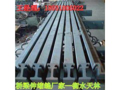 双组式桥梁伸缩缝 GQF-MZL160型伸缩缝 模数式伸缩缝图2