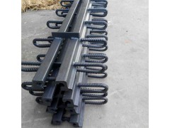 GQF-RG60/80型伸缩缝 模数式桥梁伸缩缝 质优价廉图3