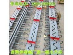 梳齿型桥梁伸缩缝 SF梳齿板伸缩缝 梳型钢板 量大优惠图2