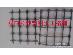 塑料双向土工格栅图3