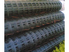 gsz土工格栅图3