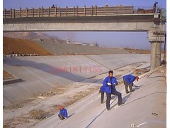 PS852双组份聚硫密封胶（膏）密度图2