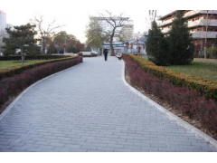 阳光雨（YGY） 砂基透水砖   抗压、抗冻、耐腐图3