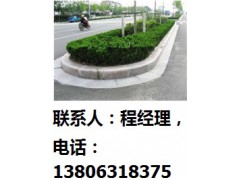 烟台市石材景观图3