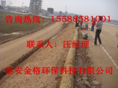 边坡绿化植被毯，泰安金格厂家批发，规格齐全图1