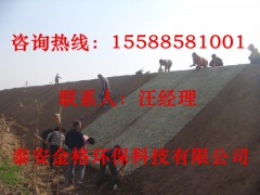 边坡绿化植被毯，泰安金格厂家批发，规格齐全图2