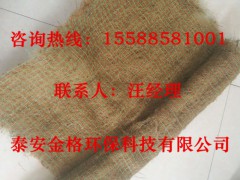 边坡绿化植被毯，泰安金格厂家批发，规格齐全图3