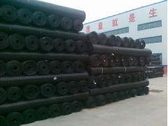 土工格栅领导品牌图2