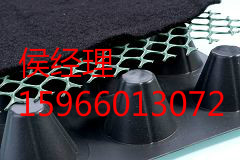 高分子防护排蓄水异形片厂家直销图1