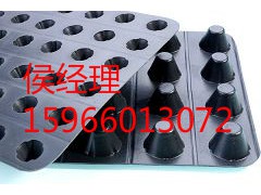 高分子防护排蓄水异形片厂家直销图3