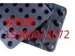 凸片排水板厂家直销图2