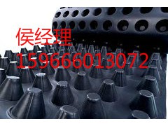 屋面种植排水板图1