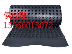 塑料排(蓄)水板图1