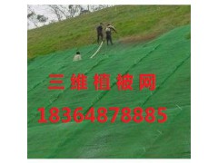 泰安塑天工程材料有限公司图1