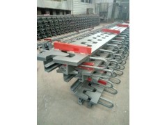 桥梁伸缩装置图2