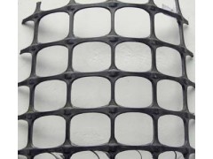 双向塑料土工格栅厂家直销图2