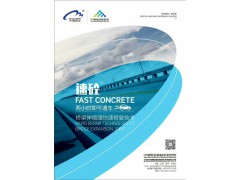 伸缩缝聚合物快速结构修补料图1