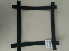 钢塑格栅厂家直销图2