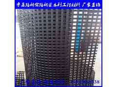 土工格栅 塑料格栅 玻纤格栅 刚塑格栅图2