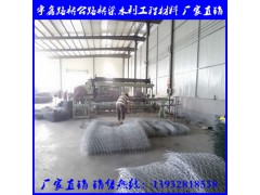 石笼网 雷诺护垫网 格宾网 镀锌石笼网箱图2