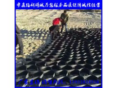 高强土工格室 边坡固定 防护图2