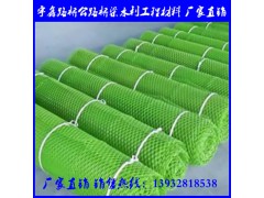 三维植被网 三维土工网垫 土工网图1