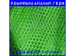 三维植被网 三维土工网垫 土工网图2