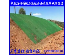 三维植被网 三维土工网垫 土工网图3
