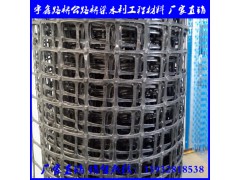 伸塑料格栅 玻纤格栅 涤纶格栅 刚塑格栅图1