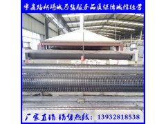 伸塑料格栅 玻纤格栅 涤纶格栅 刚塑格栅图3